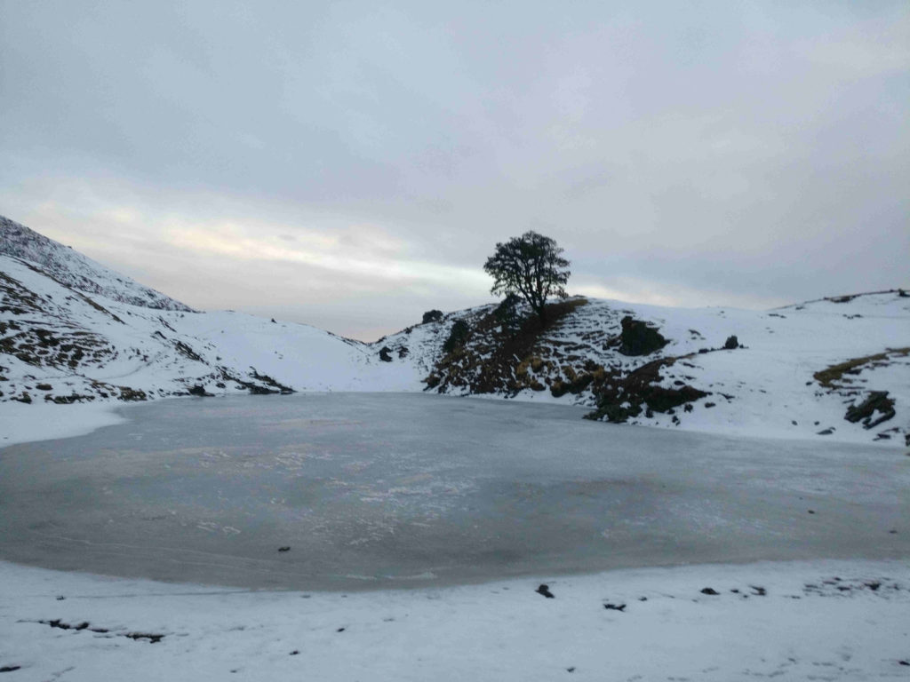 Trip Image 1