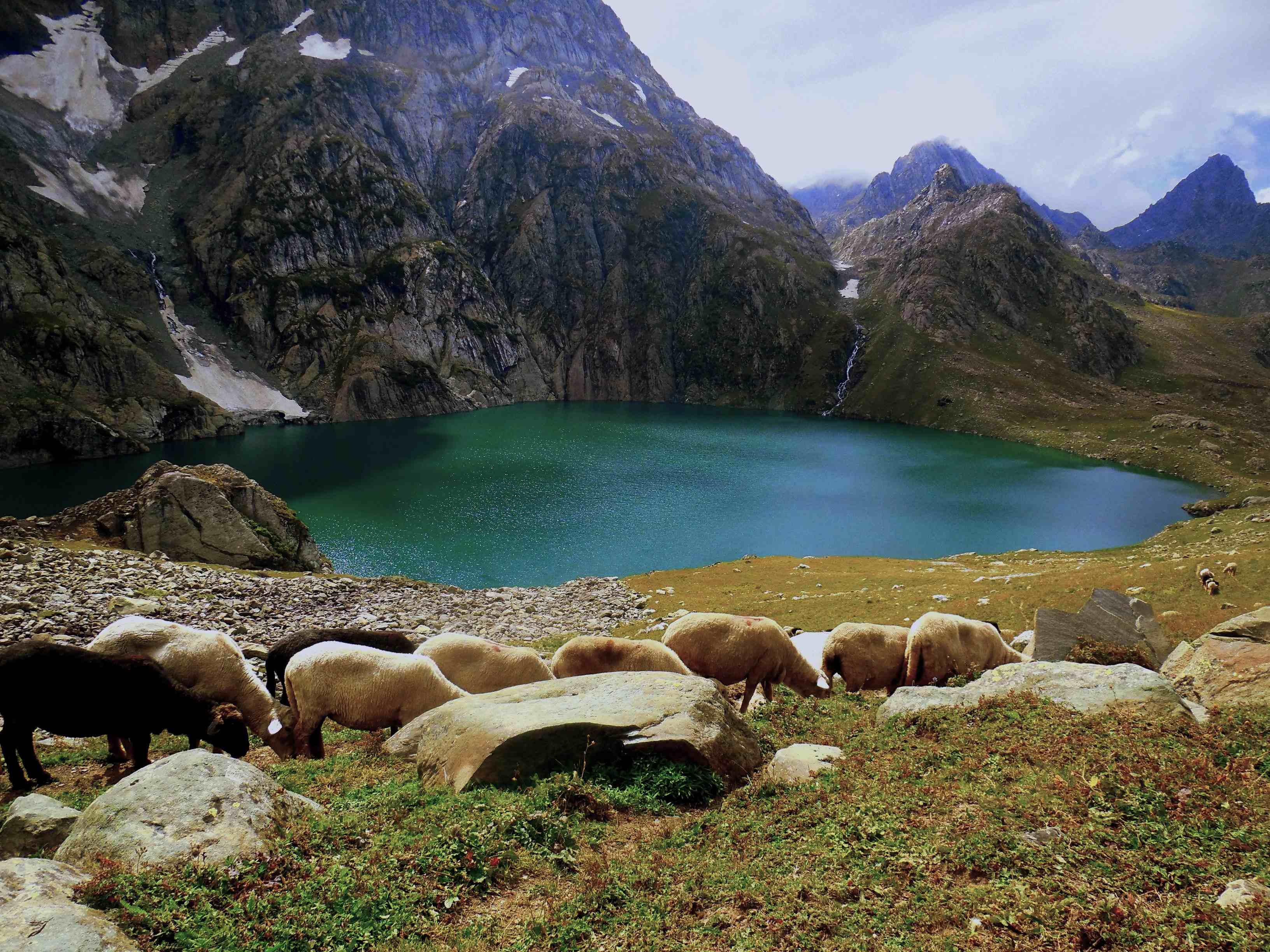 Trip Image 1