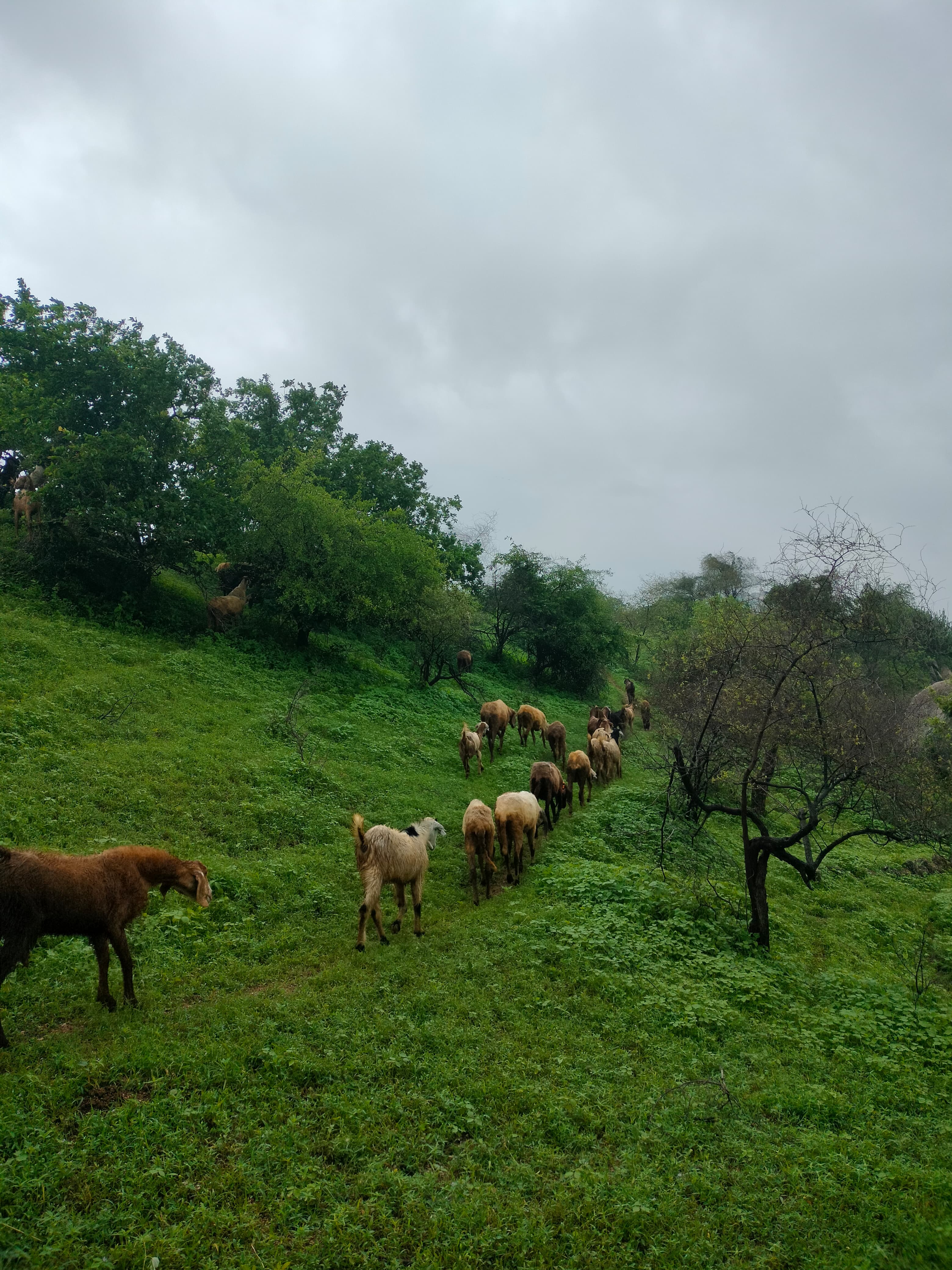 Trip Image 9