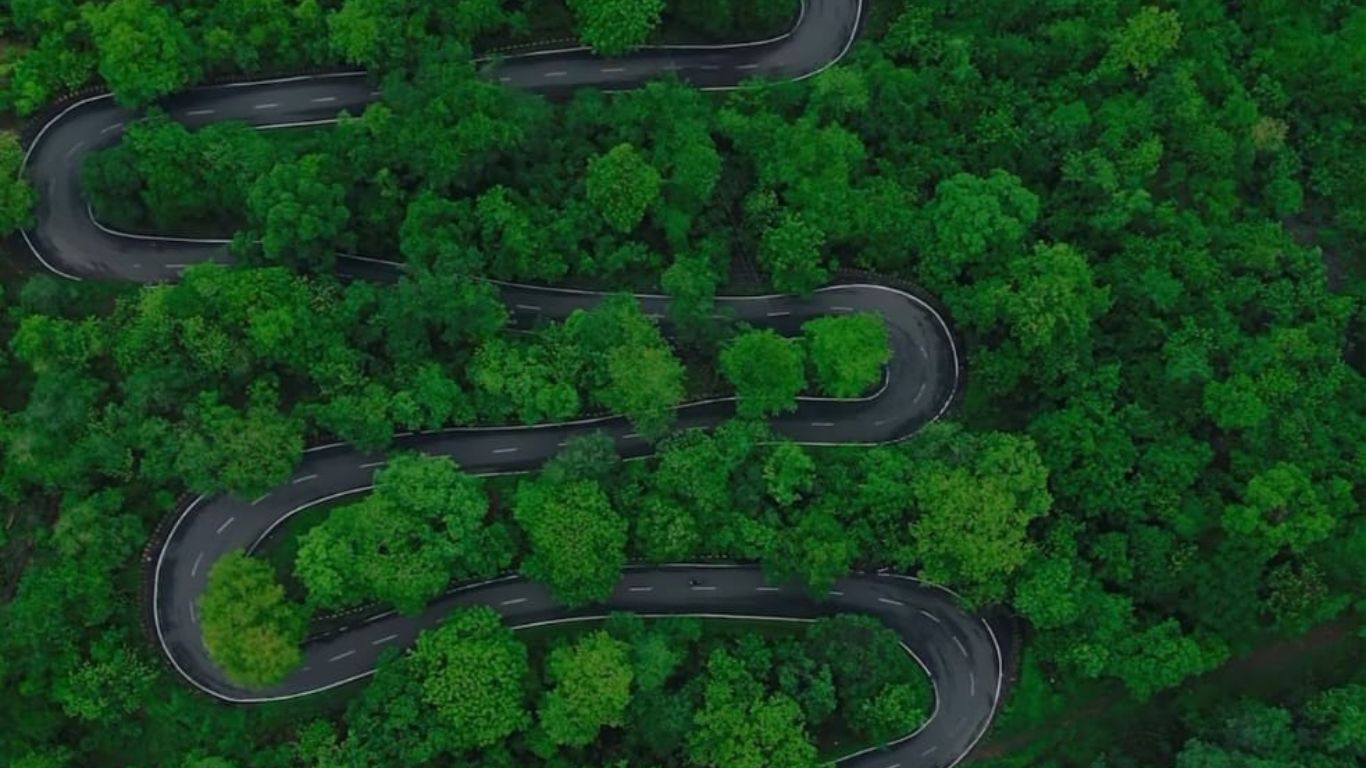Tour package - Wilson Hills in Gujarat, India